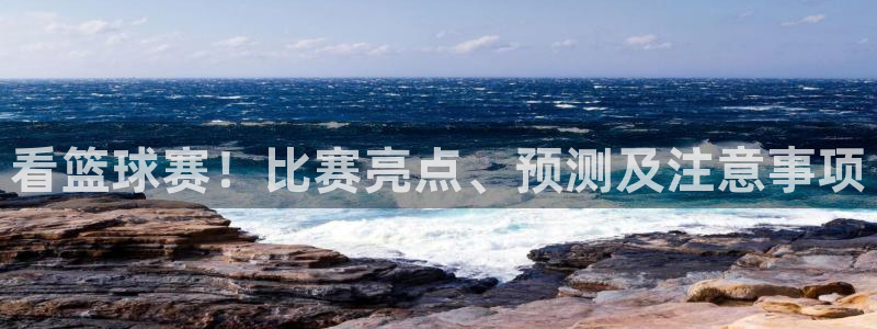  看篮球赛！比赛亮点、预测及注意事项