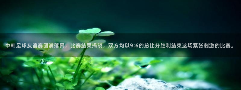 中韩足球友谊赛圆满落幕，比赛结果揭晓，双方均以9:6的总比分