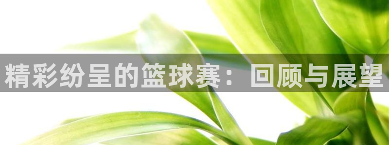  精彩纷呈的篮球赛：回顾与展望