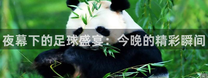 夜幕下的足球盛宴：今晚的精彩瞬间