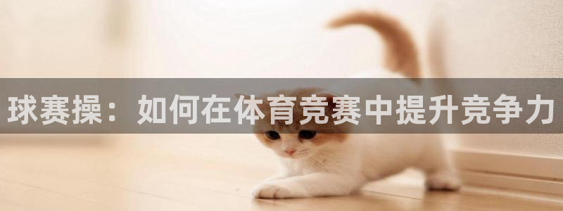  苹果好玩的体育游戏：球赛操：如何在体育竞赛中提升竞争力