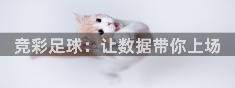  苹果体育：竞彩足球：让数据带你上场