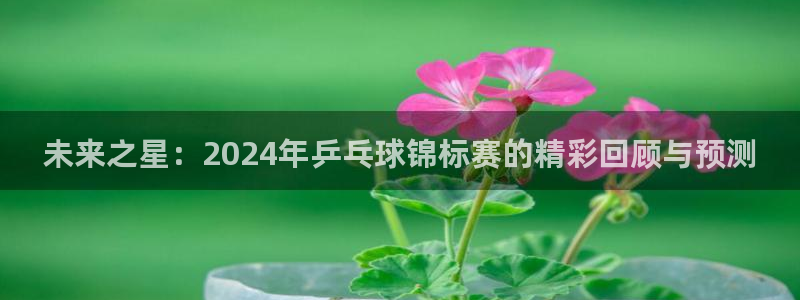 pg体育平台网址大全：未来之星：2024年乒乓球锦标赛的精彩