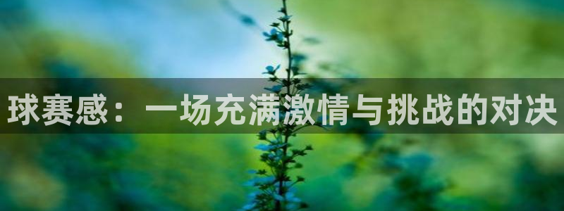 PG体育官方下载入口：球赛感：一场充满激情与挑战的对决