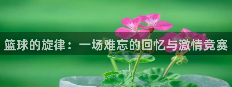  PG体育官网app网站：篮球的旋律：一场难忘的回忆与激情竞赛