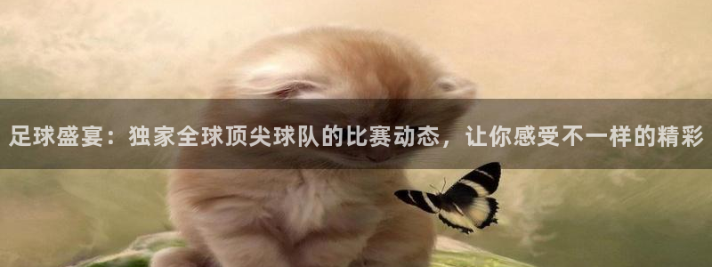  pp体育app官网：足球盛宴：独家全球顶尖球队的比赛动态，让