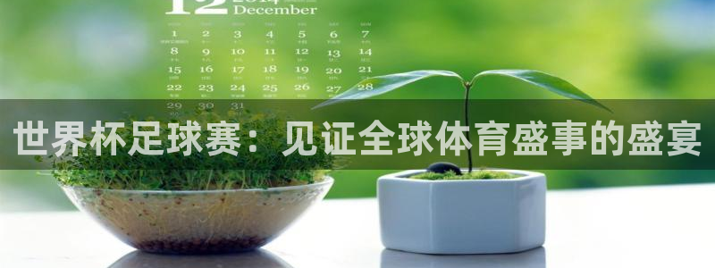  PG体育娱乐：世界杯足球赛：见证全球体育盛事的盛宴