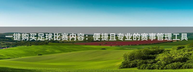 PG体育电子平台：一键购买足球比赛内容：便捷且专业的赛事管理