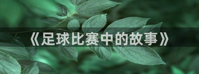 苹果体育网页版：《足球比赛中的故事》