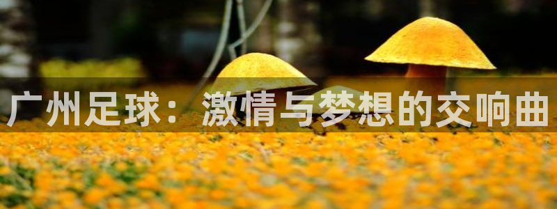  苹果休闲游戏排行：广州足球：激情与梦想的交响曲